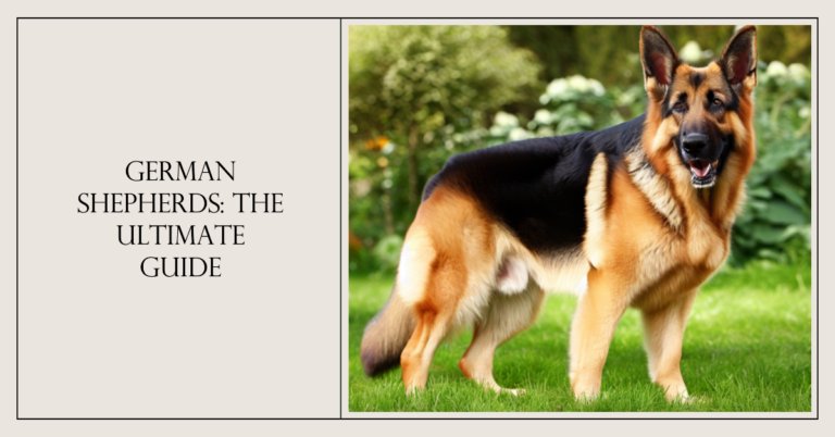 German Shepherds The Ultimate Guide