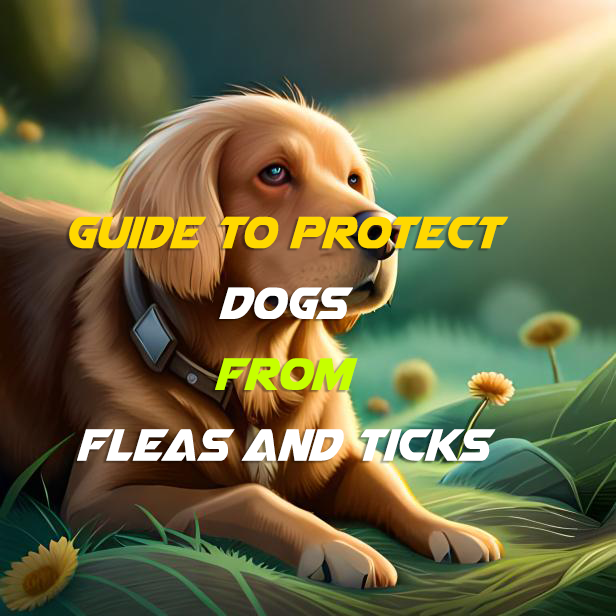 Protect Your Dog from Fleas and Ticks